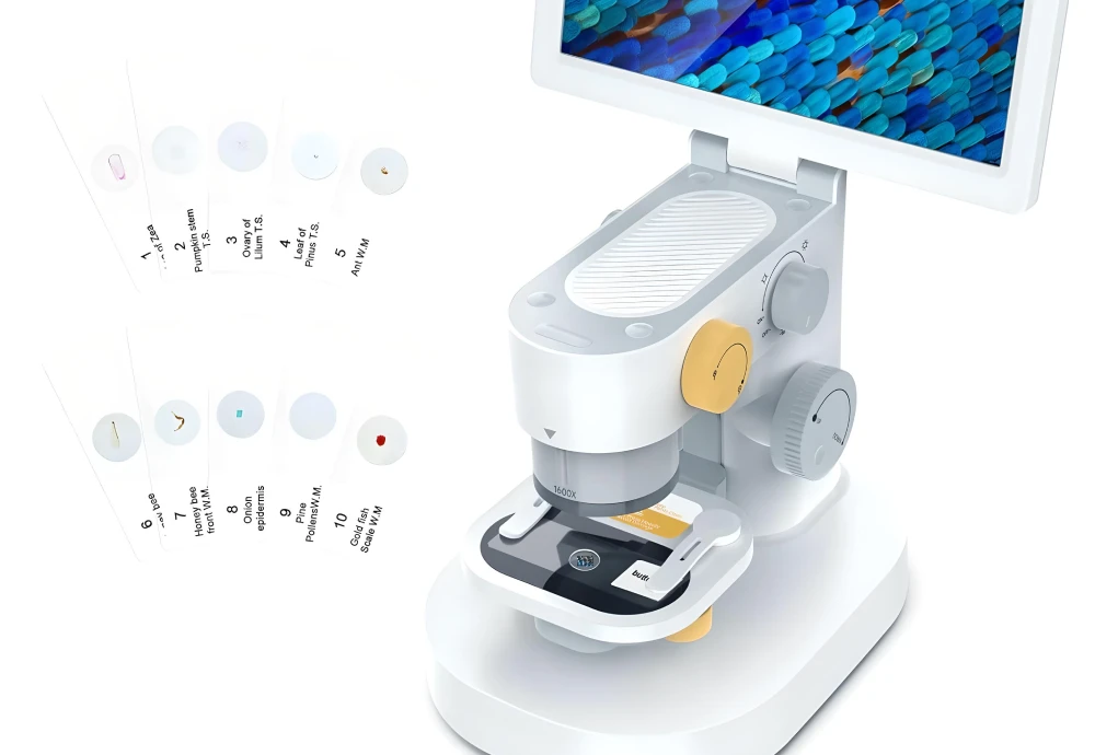 biological microscope