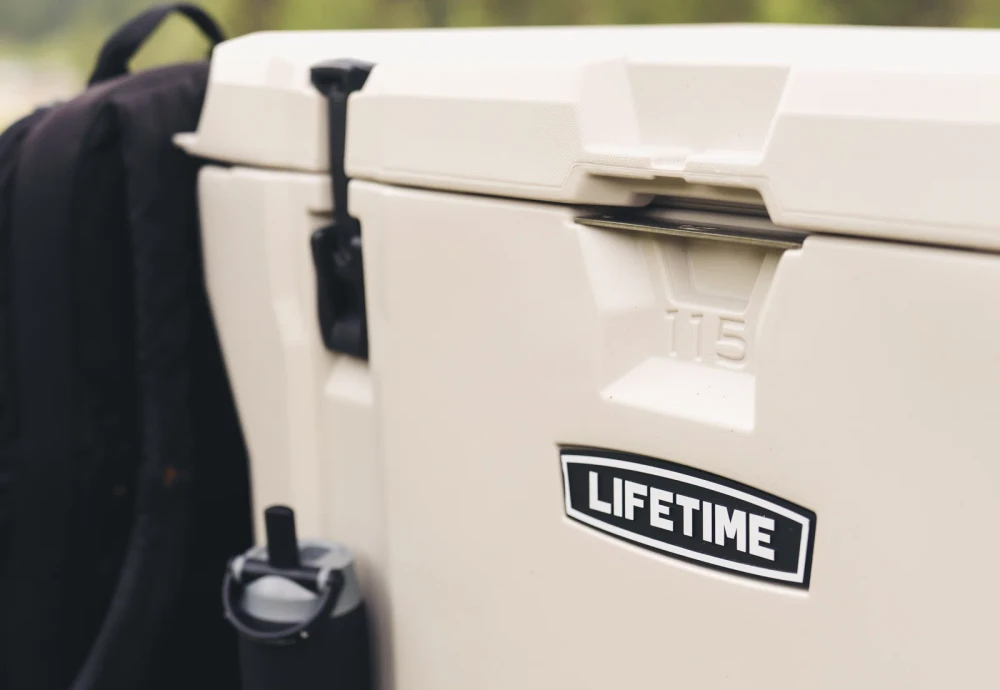 portable cool box fridge