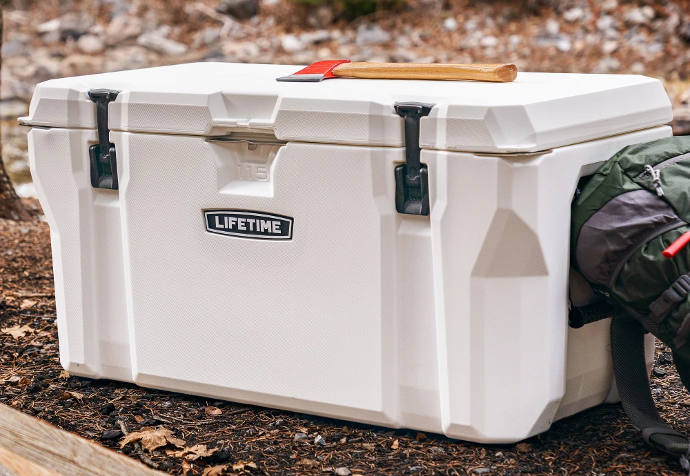 portable cool box fridge