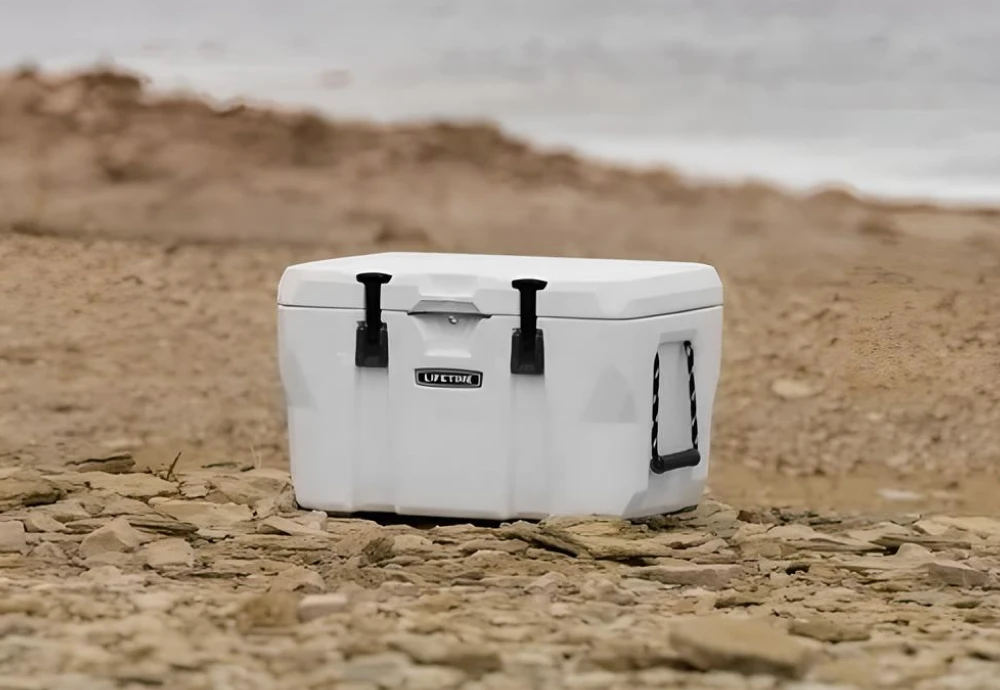 portable cool box fridge