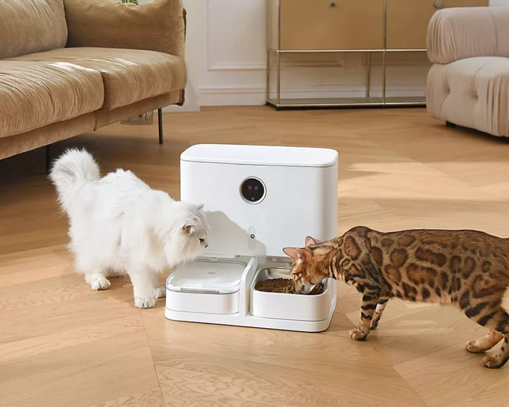 robot automatic pet feeder