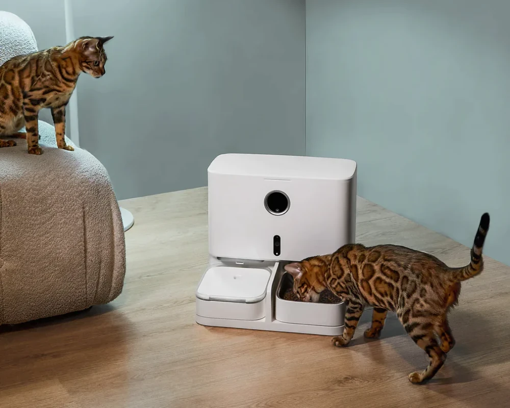 best automatic cat feeder with camera